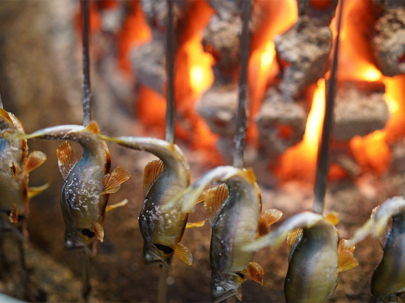 【함향어 투찬】재명점 “어안” 중오반 유섬 지품 가우어 투찬!