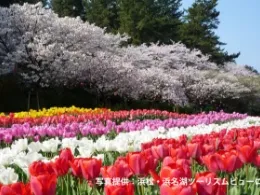 主题公园缩略图