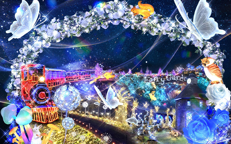 带入场券的套餐