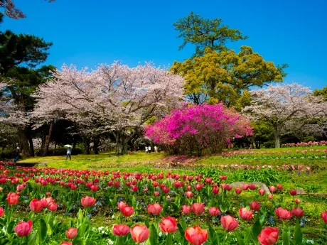 Prefectural Public Park