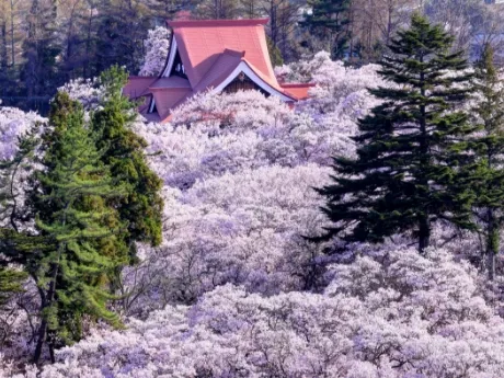 Takato Castle Ruins Park