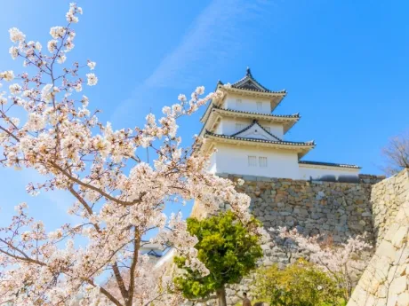 Akashi Castle (Akashi Park)