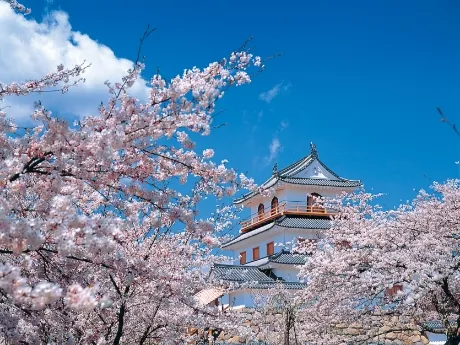 Shiraishi Castle