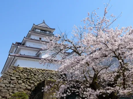 Tsurugajo Park
