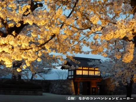 Matsuyo Castle Ruins