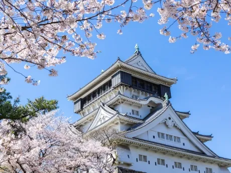 Ogura Castle