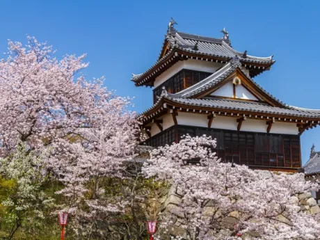 Ruins of Koriyama Castle Park