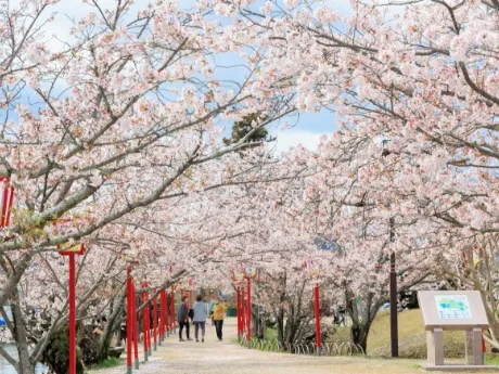 Ogi Park
