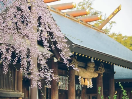 Hokkaido Jingu Shrine