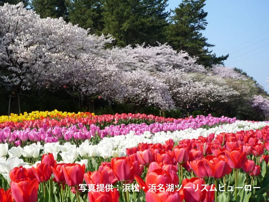 Hamamatsu Flower Park