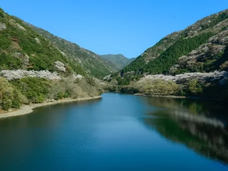 Yuzuruba Dam