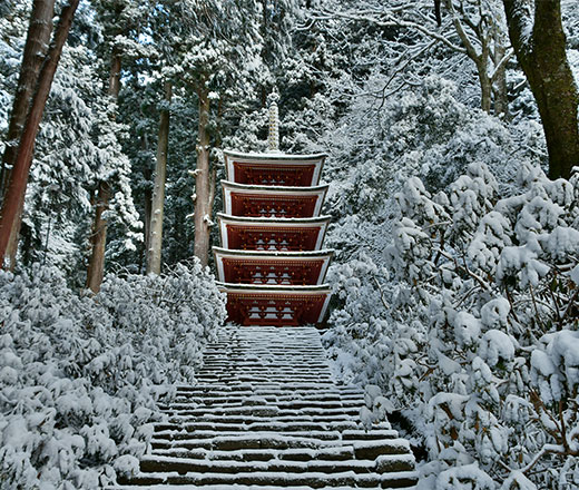 Nara Kashihara Bishakuhanten