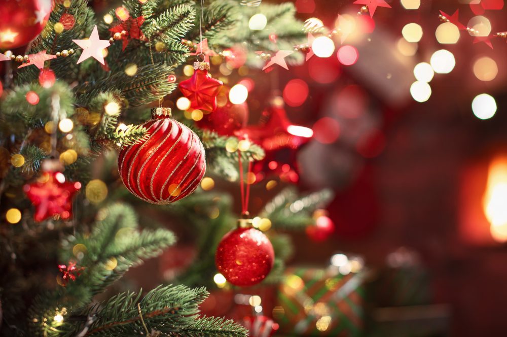 Wakayama Kushimoto Bii Sendo Holiday Sake Shop