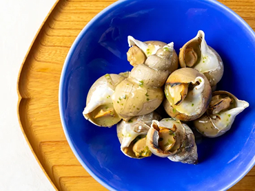 Memercure Toyama Tonami Resort & Spa