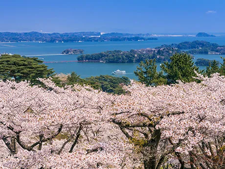 Matsu-koen Park in Saigyo Return