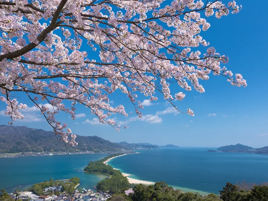 Amanohashidate Viewland ""