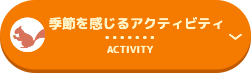 Activities that feel the season