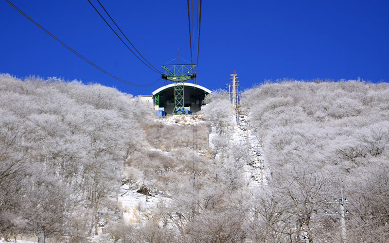 Enjoy the winter of Oita