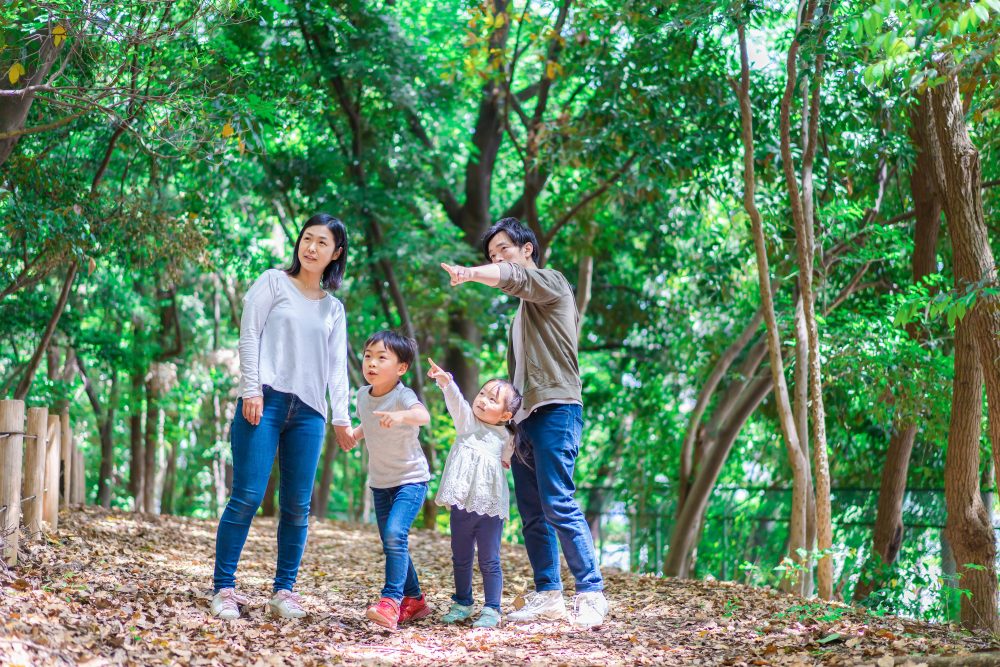 Until December! Free plan for elementary school students and younger