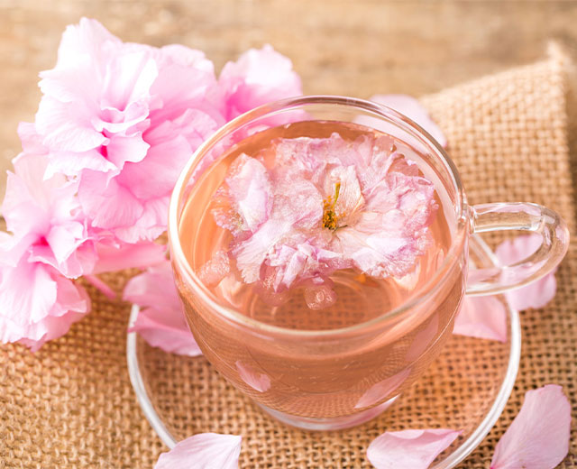 Spring Lounge "Sakura" Menu