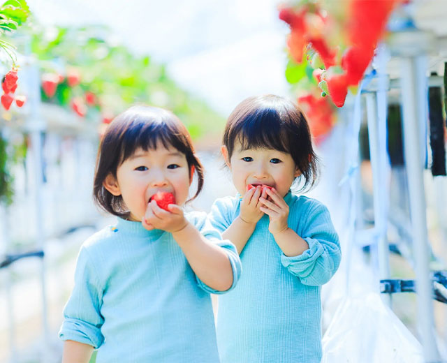 Strawberry picking 15% OFF