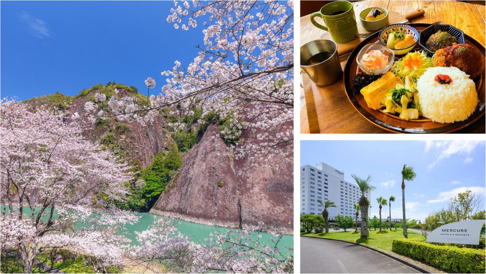 Cherry-blossom viewing lunch
