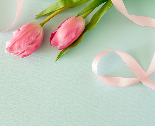 April 1 Limited Project