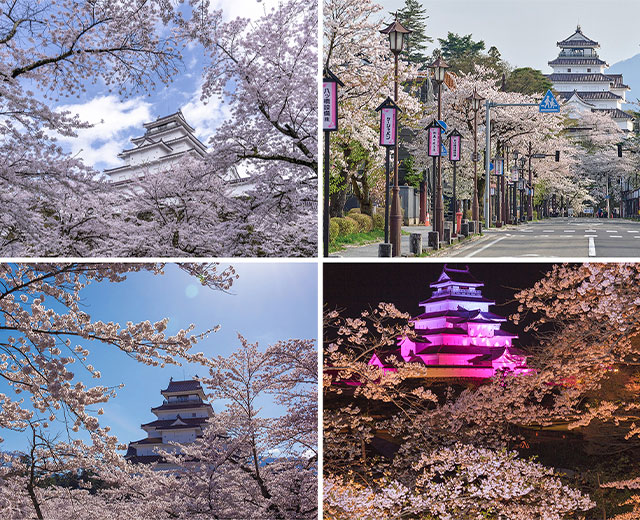 Cherry blossom tour dyed in spring colors