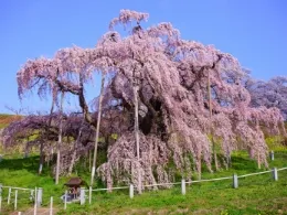 Energical landscape drawing