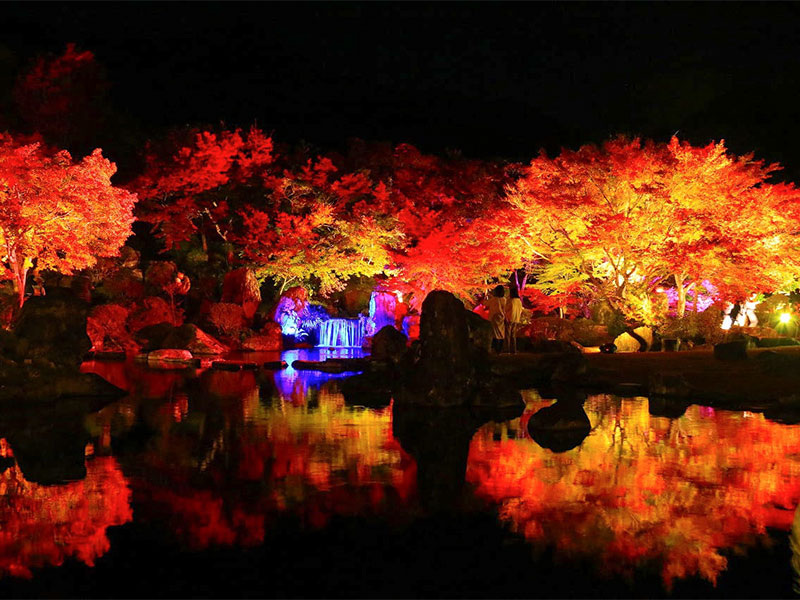 The most beautiful part of the tree, which is dyed red, Japanese, yellow, and beautiful colors. A crimson around the restaurant.
