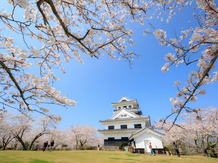 Tateyama-jo Castle (Shiroyama Park)
