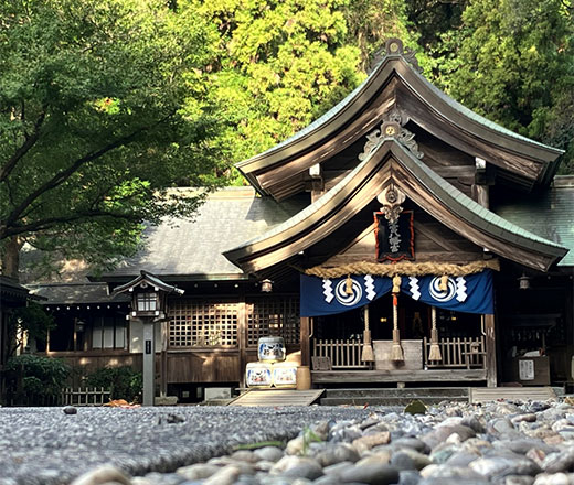 고치 도사미이 온센도 가주점