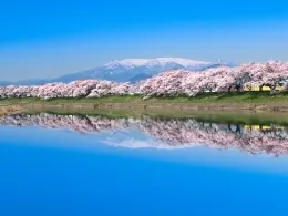미즈베 삼네일