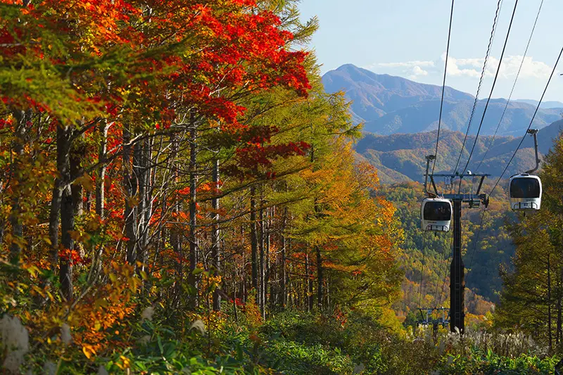 【With round-trip ticket】 Accommodation plan to enjoy an altitude of 1390m "Autumn Superb View" on the ropeway