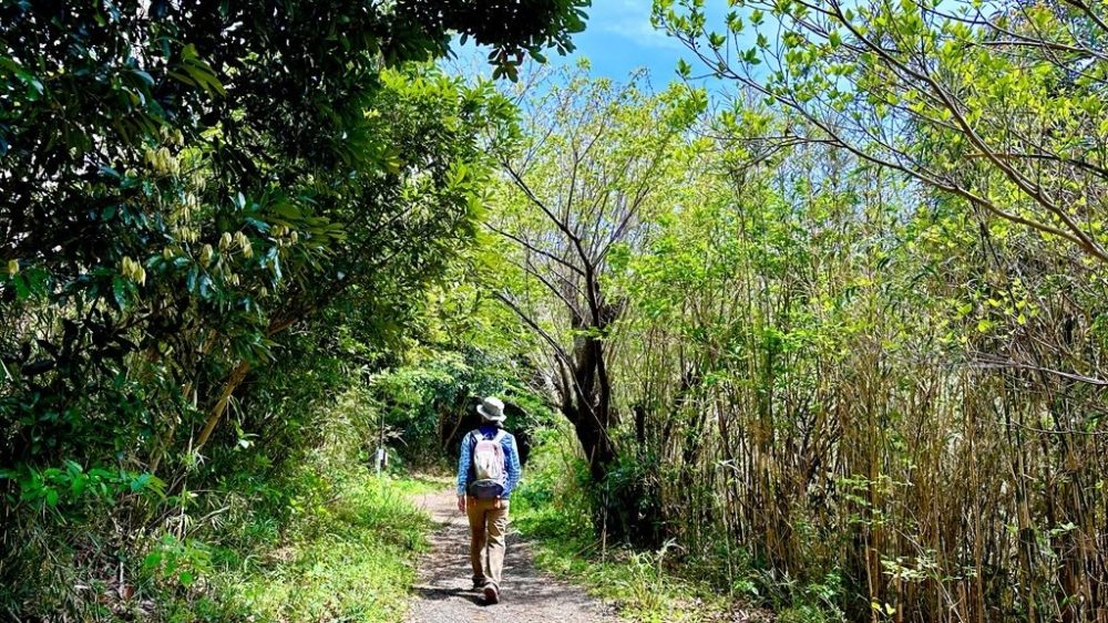 Musubibito-Minamiboso City Health Tourism Attendant Kaori Izumi and Healing Forest Therapy Walking to Enjoy Nature-