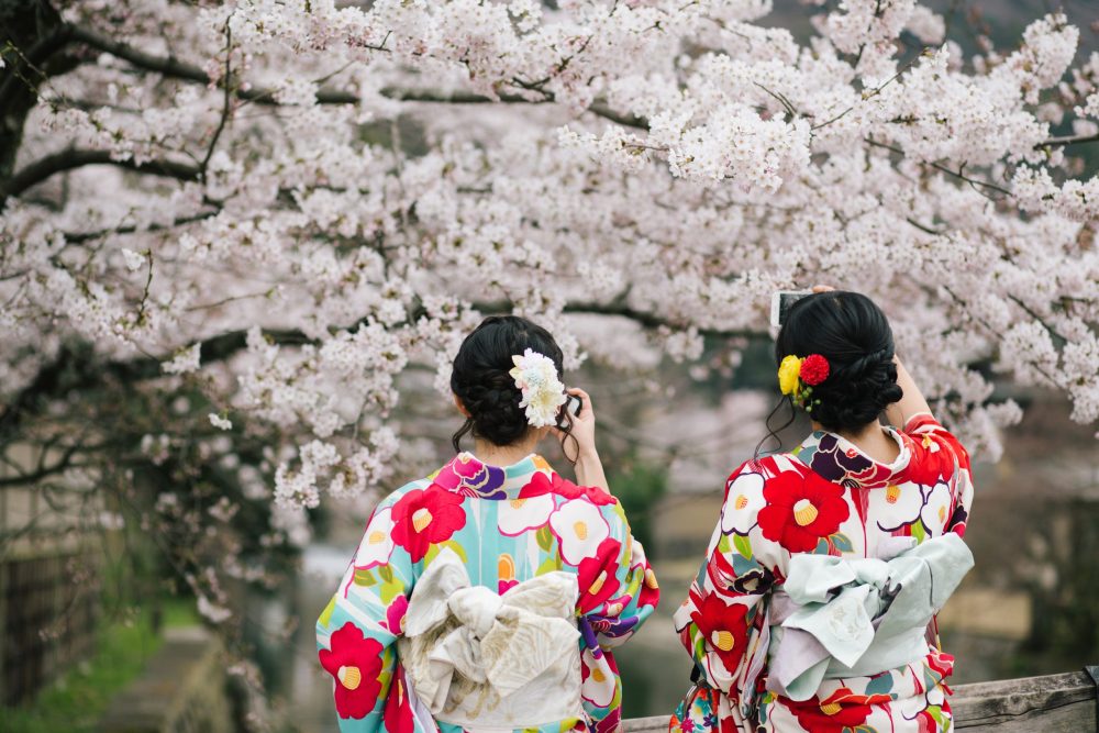 [ALL loyalty program Member Limited Plan] Enjoy the cherry blossom season! Kimono dressing experience with benefits