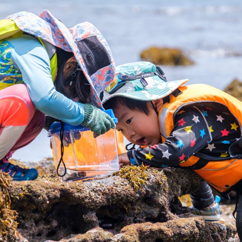 [Golden Week is a nature experience] Hosted by Minami Boso City University Fusaki Natural House