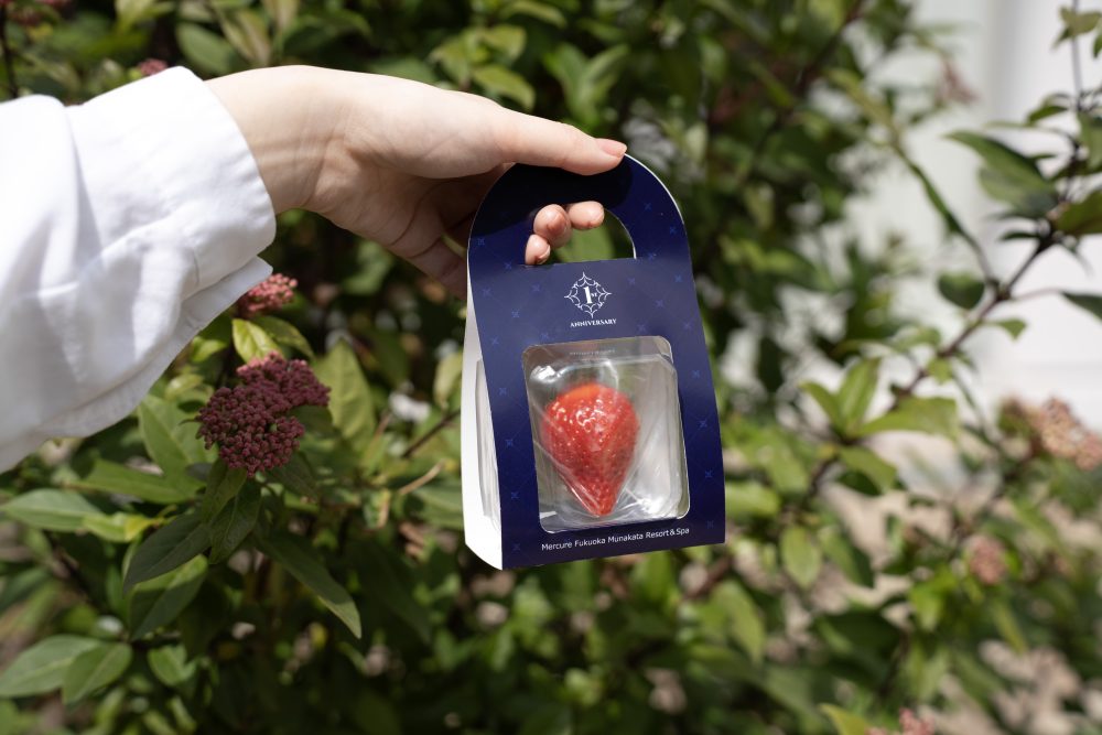 Rebrand 1st Anniversary & Mercure Munakata Strawberry Farm OPEN Commemorative “Official Instagram Campaign” On the morning of departure, enjoy a blissful time with Mercure Fukuoka Munakata Blend Coffee