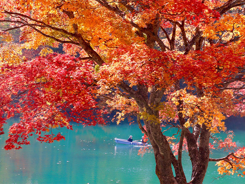 Michelin Green Guide Introducing the superb view "Goshiki-numa Lakes" that won 1 star