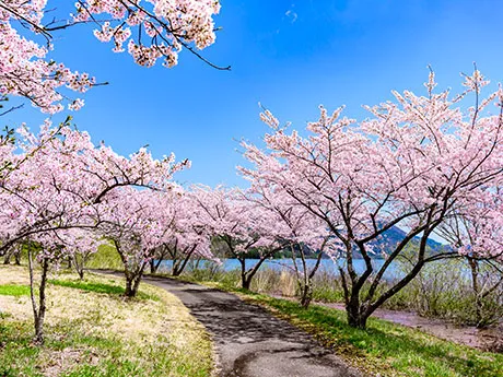 七宿水庫(自然休養公園)