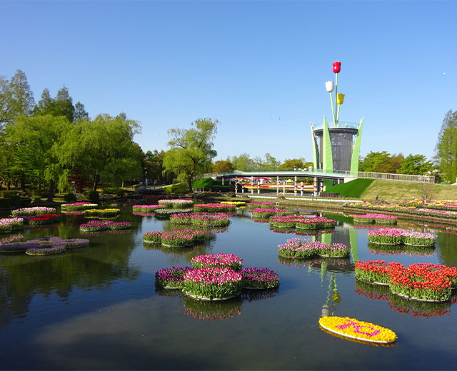 帶鬱金香展銷會入場券