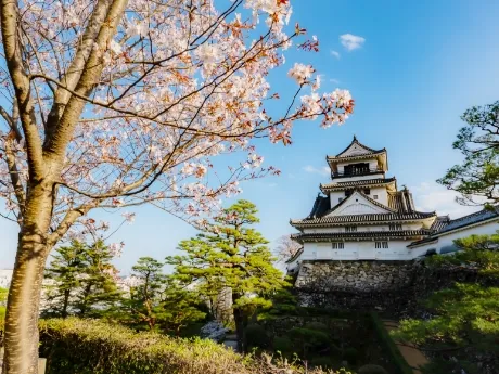 高知城