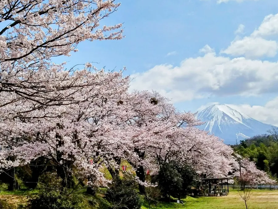 番原公園