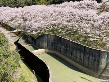 島ノ瀬ダム