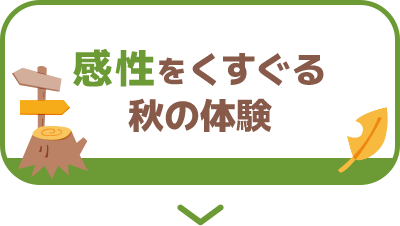 感性をくすぐる秋の体験