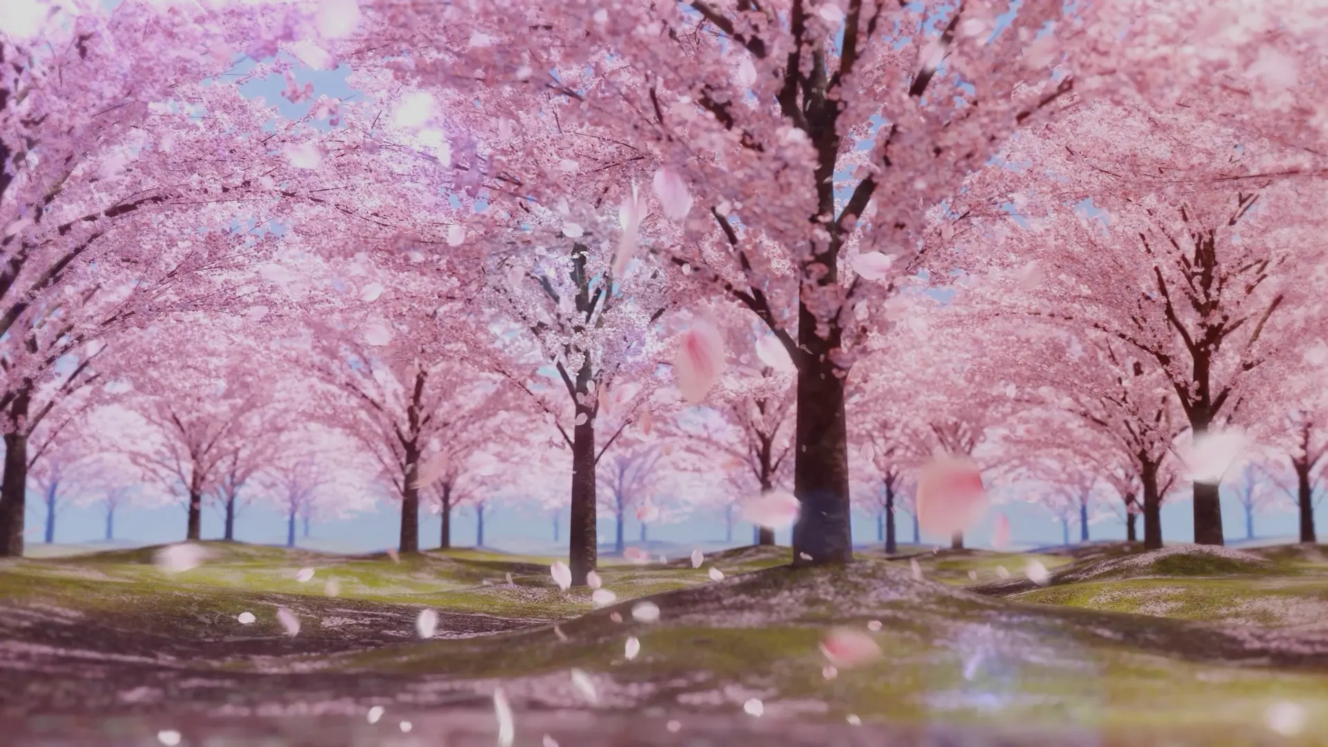 旅のひととき、春らんまんを味わう 桜めぐり - 【公式】グランド