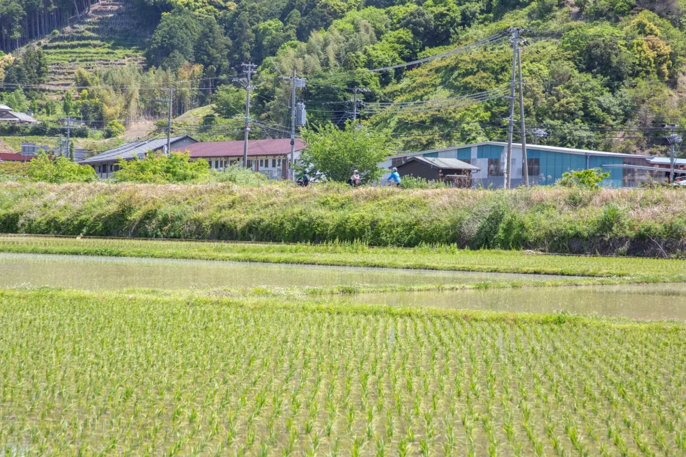 五感で感じる自然
