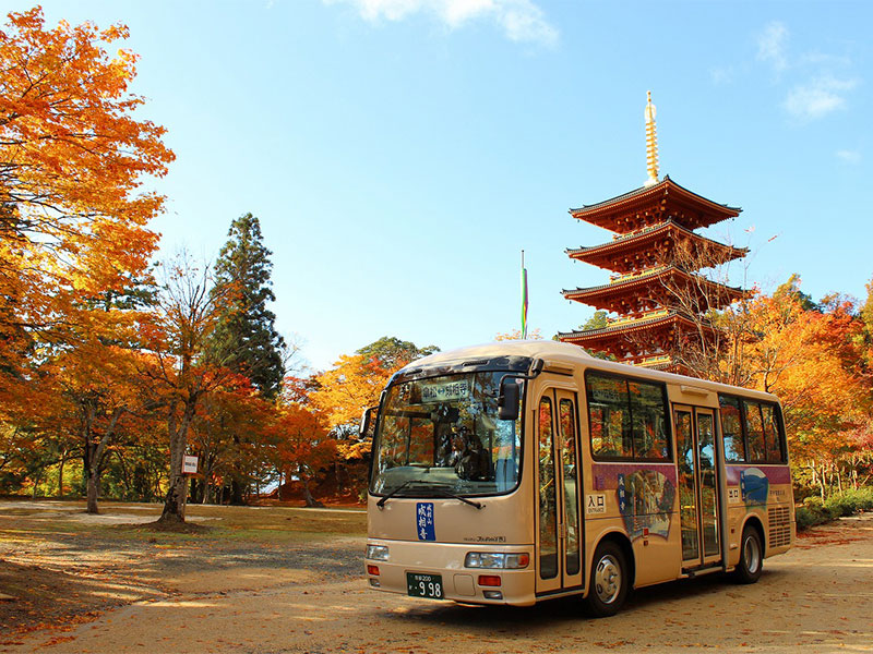 おすすめ紅葉スポットをご紹介