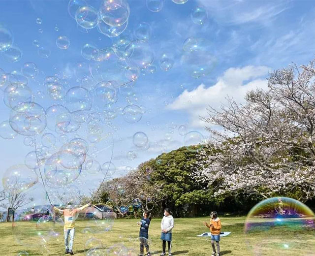 南房総で桜見物